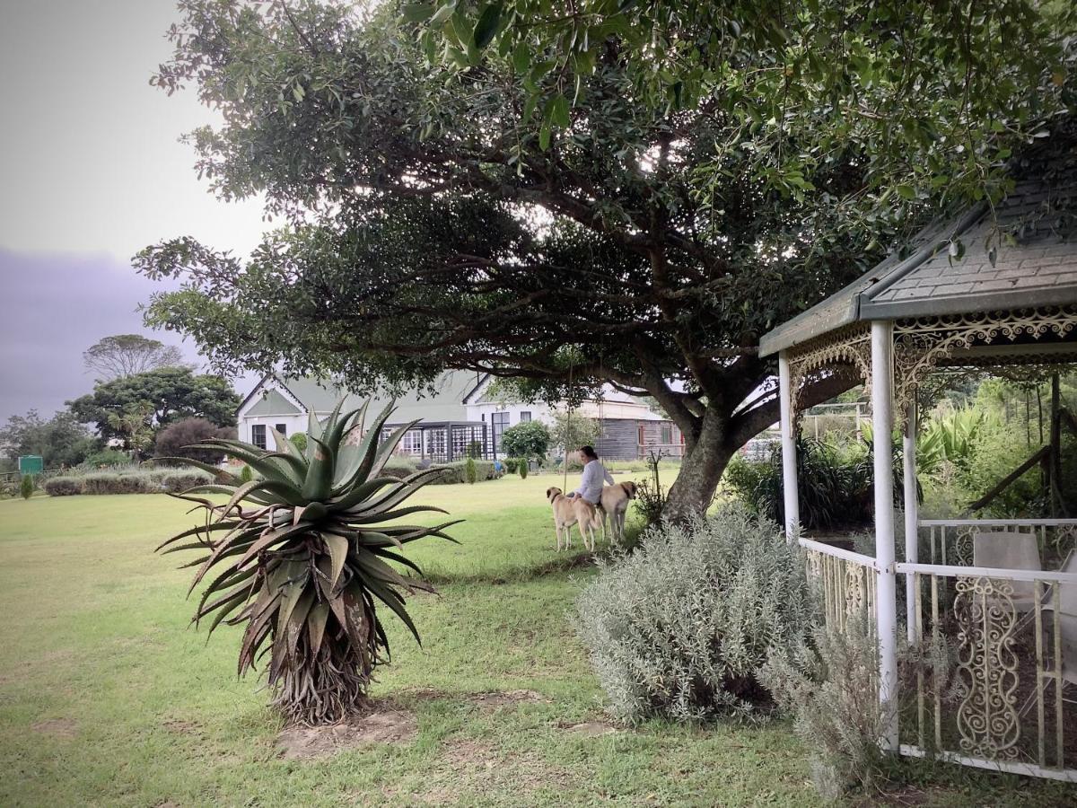 Kingston Farm Villa Bathurst Exterior photo